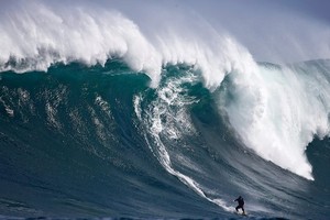 Quỹ Đầu tư cổ phiếu triển vọng NTP bỏ lỡ đà tăng của VN-Index