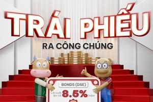 Chứng khoán Vina chào bán thành công lô trái phiếu DNSE