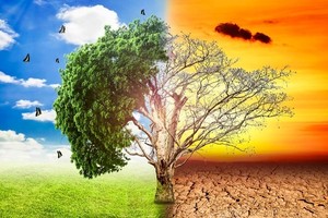 Quản trị biến đổi khí hậu và vai trò dẫn dắt của Hội đồng quản trị