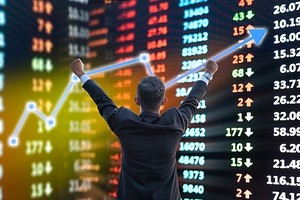 “Né” cổ phiếu FPT, một quỹ đầu tư kín tiếng vươn lên Top đầu hiệu suất đầu tư