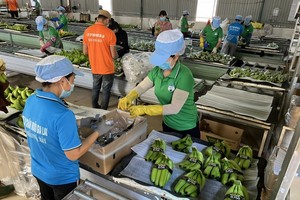 Chủ tịch Masan và Hoàng Anh Gia Lai gửi tâm thư trước tin thuế quan