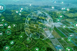 Quản trị công ty và quản trị biến đổi khí hậu: Góc nhìn từ minh bạch và hiệu quả