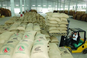 Thái Hòa từng có tỉnh cảnh tương tự như PVX hiện nay