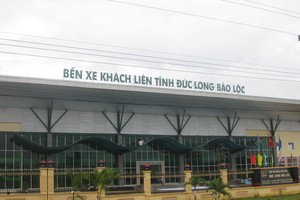 DLG đã thống nhất và thông qua kế hoạch tái cấu trúc ngành nghề kinh doanh, tập trung đầu tư các ngành nghề chiến lược: Năng lượng, nông nghiệp và cơ sở hạ tầng
