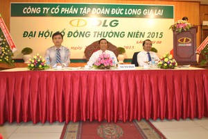 ĐHCĐ DLG: Các lĩnh vực tái cấu trúc đóng góp đến 90% doanh thu 2015