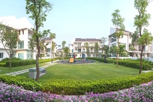 Khi giới nhà giàu chán sống ở phố đông