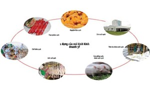 Chi phí đầu tư của Masan để phát triển nền tảng 3F (Feed – Farm – Food) hàng đầu Việt Nam tương đương với mức 12 lần lợi nhuận