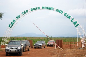 Hoàng Anh Gia Lai chào lãi suất trái phiếu khoảng 12%/năm