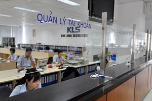 KLS trả cổ tức bằng tiền mặt 8%