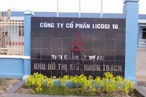 NVN và LCG bị tạm ngừng giao dịch