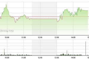 Phiên giao dịch chiều 24/4: Cầm cự