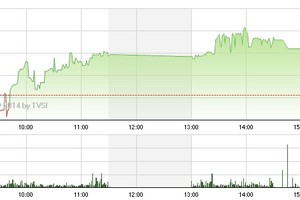 Phiên giao dịch chiều 26/6: "Cuồng phong" FLC
