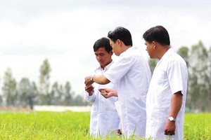 Những màn rượt đuổi để thành cổ đông ngoại của Bảo vệ Thực vật An Giang