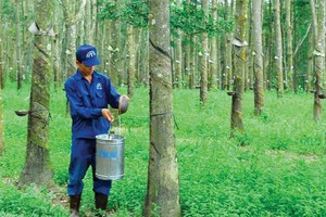 TRC thoái vốn tại Công ty Đầu tư hạ tầng VRG