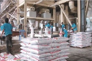 Năm 2015, DBC đặt mục tiêu lãi hơn 250 tỷ đồng