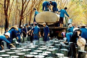 Cổ phiếu cần quan tâm ngày 28/5