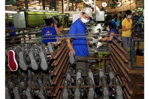 IPO Giầy Thượng Đình: đăng ký mua gấp hơn 11,6 lần chào bán