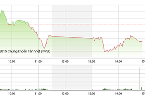 Phiên giao dịch chiều 14/8: Gãy trụ, VN-Index mất mốc 590 điểm