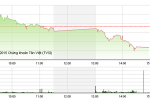 Phiên giao dịch chiều 2/11: Chốt lời mạnh, VN-Index bị đẩy lùi về gần 600 điểm