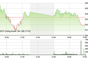Phiên giao dịch chiều 19/11: Cổ phiếu đầu cơ đua nhau tăng trần