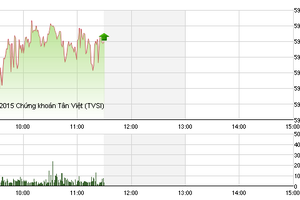 Phiên giao dịch sáng 26/11: Cổ phiếu penny đua nhau tăng trần