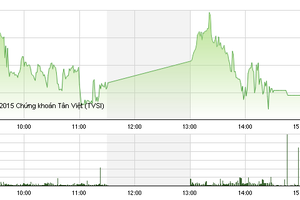Phiên giao dịch chiều 28/12: Ồ ạt thoát hàng đầu cơ