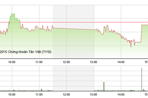 Phiên giao dịch cuối năm 31/12: Tiền vào ồ ạt