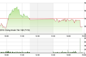 Phiên giao dịch chiều 11/1: Cổ phiếu nhỏ đua nhau giảm sàn