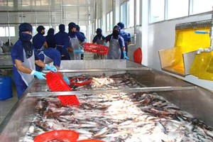 ATA: Nguy cơ bị đưa vào diện kiểm soát 