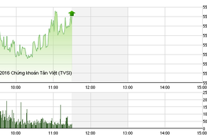 Phiên giao dịch sáng 22/1: Sau HAG - HNG, đến lượt HHS gây ấn tượng