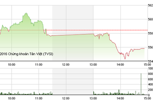 Phiên giao dịch chiều 4/4: Hàng chục mã giảm sàn, VN-Index về ngưỡng 555 điểm