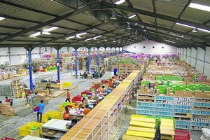 Alibaba đang vung tiền tỷ đầu tư khắp thế giới như thế nào?