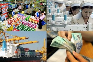 Không cải thiện năng suất lao động, nhà đầu tư sẽ rời bỏ thị trường Việt Nam