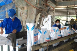 LAS chi gần 120 tỷ đồng trả cổ tức tỷ lệ 15%