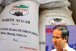 Trong khi chờ hướng dẫn, cơ bản các bên đã đồng ý để HAGL được đưa đường về Việt Nam với thuế suất ưu đãi.