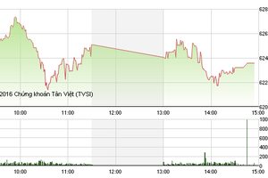 Phiên giao dịch chiều 13/6: Sắc đỏ bao trùm, VN-Index giảm sâu