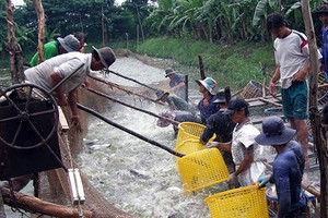 Huy động 180.000 điều tra viên để tổng điều tra về nông thôn năm 2016