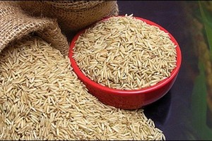 HKB: Giá giảm sâu, vợ chồng Ủy viên HĐQT đăng ký bán gần 9 triệu cổ phiếu