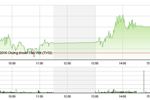 Phiên chiều 8/9: Giao dịch bùng nổ, VN-Index qua ngưỡng 665 điểm