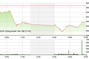 Phiên chiều 12/9: VN-Index giảm sâu, TTF đảo chiều ngoạn mục