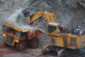 Cổ đông lớn của DHM bị phạt 50 triệu đồng