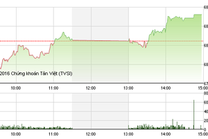 Phiên chiều 13/10: Cổ phiếu đầu cơ đua trần