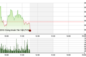 Phiên sáng 20/10: Nỗi buồn tân binh