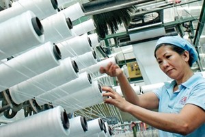 Cổ phiếu cần quan tâm ngày 25/11