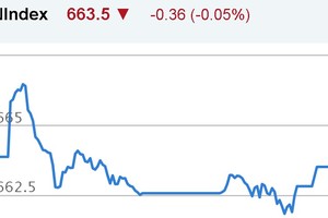 Phiên chiều 28/12: Nhen nhóm sóng cổ phiếu đầu cơ
