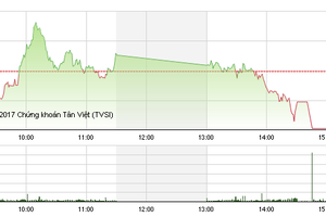 Phiên chiều 13/1: Cổ phiếu phân bón và hóa chất tỏa sáng