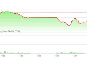 Phiên chiều 17/2: Nhóm bất động sản tăng mạnh, VN-Index vẫn "chào thua"