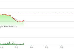 Phiên sáng 24/2: Tiền ồ ạt chảy vào cổ phiếu nhỏ