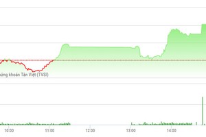 Phiên chiều 3/3: STB tăng trần, VN-Index lên mức cao nhất ngày
