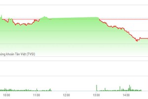 Phiên chiều 10/3: VN-Index giảm sâu, ROS vẫn thẳng tiến